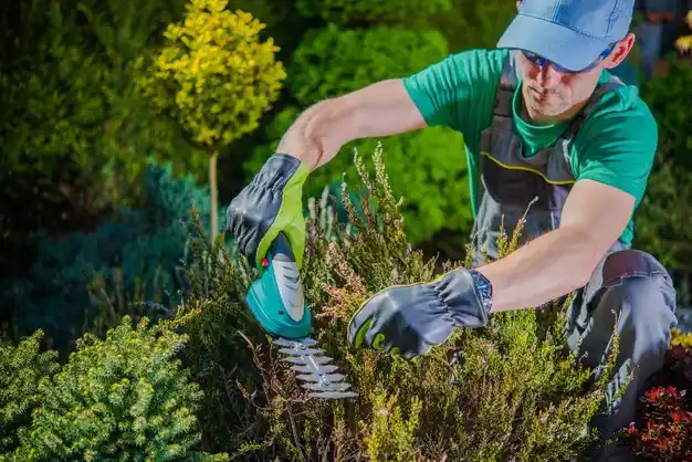 landscaping services North Creek